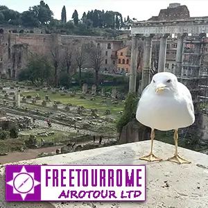 Free Tour Rome Logo Free Tour Rome Logo